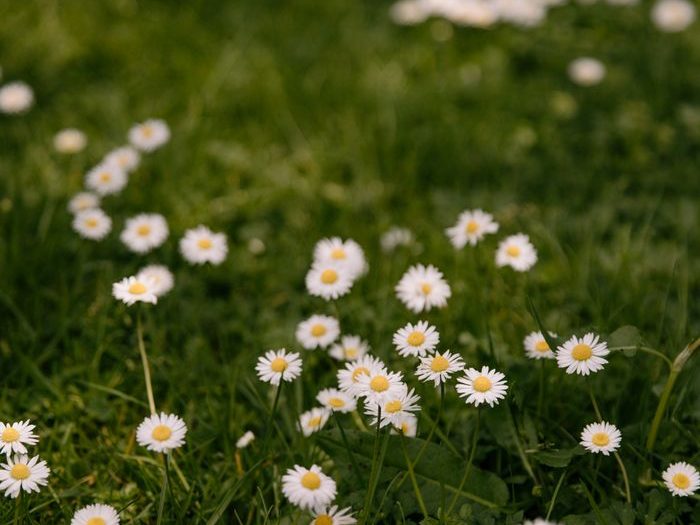 What I've learned after 15 year's of living with Hashimotos Disease